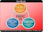 International Nucleotide Sequence Database Collaboration - slide 1