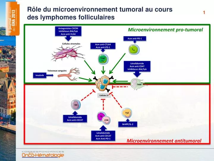 r le du microenvironnement tumoral au cours des lymphomes folliculaires
