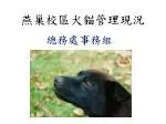 燕巢校區犬貓管理現況 - slide 1