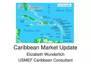 Caribbean Market Update