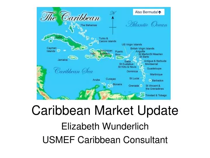 caribbean market update