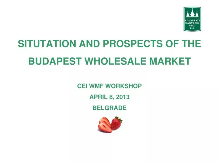 situtation and prospects of the budapest wholesale market cei wmf workshop april 8 2013 belgrade