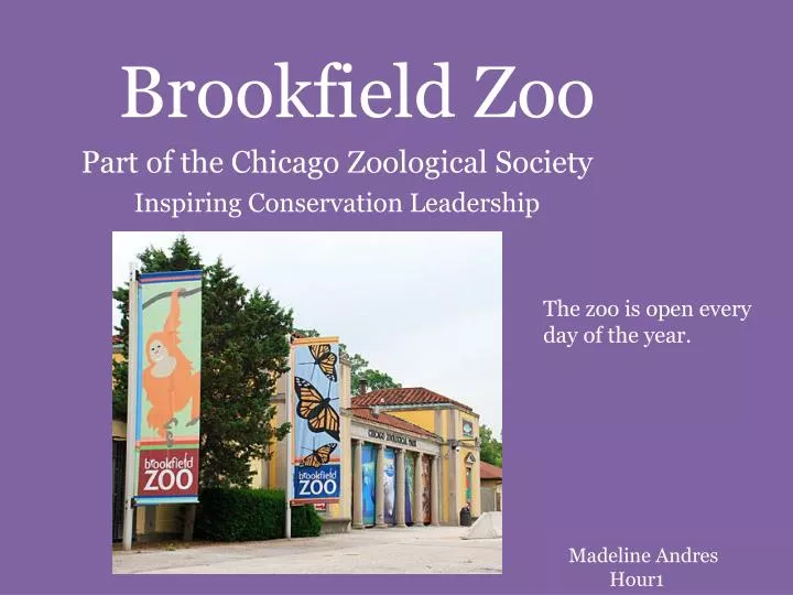 brookfield zoo