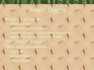 Animal Origins