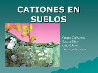 cationes en suelos