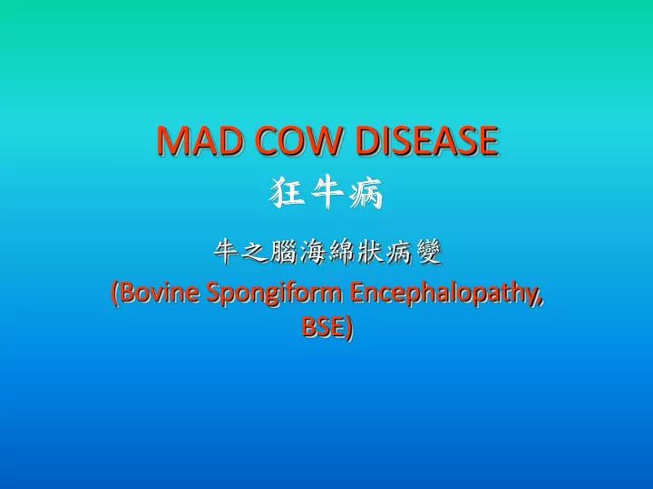 mad cow disease