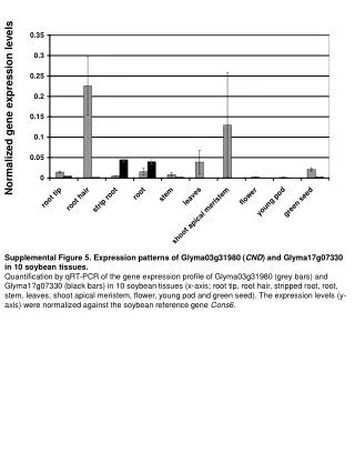 Normalized gene expression levels