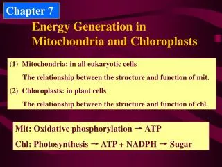 Energy Generation in Mitochondria and Chloroplasts