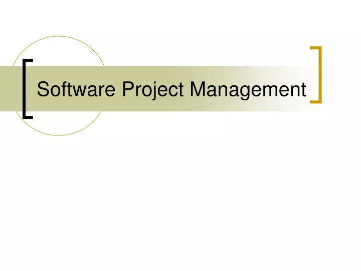 software project management