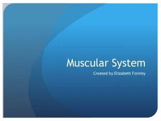 Muscular System