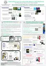 Temi di Elettrocatalisi Molecolare e di Elettrochimica dei Materiali - slide 1