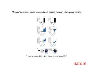 T Ito et al. Nature 000 , 1-4 (2010) doi:10.1038/nature09171