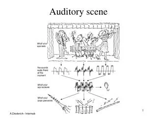 Auditory scene