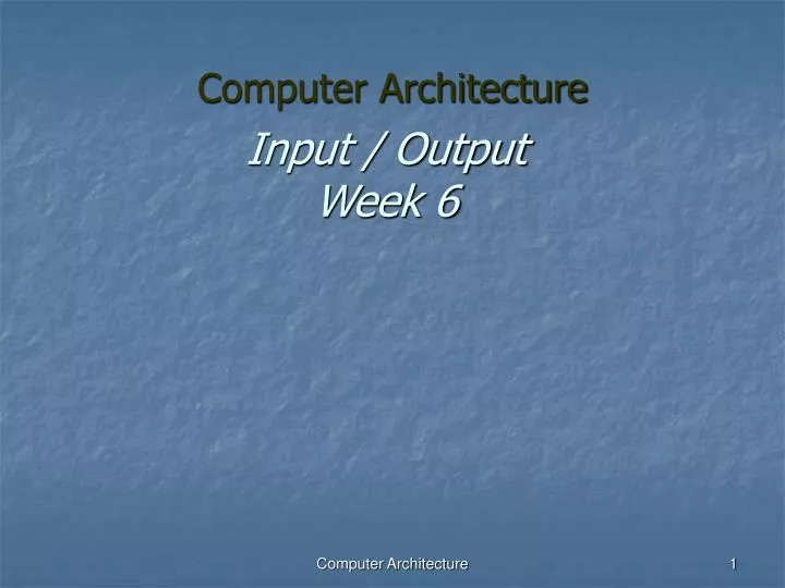 input output week 6