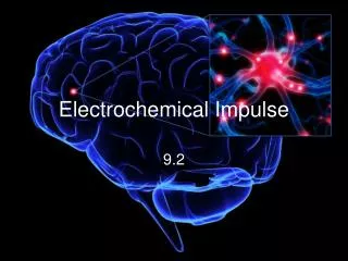 Electrochemical Impulse