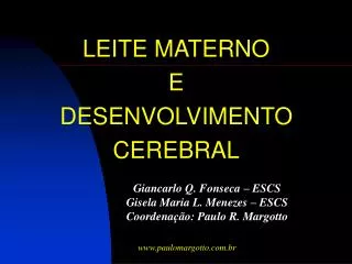 leite materno e desenvolvimento cerebral