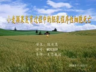 m05309