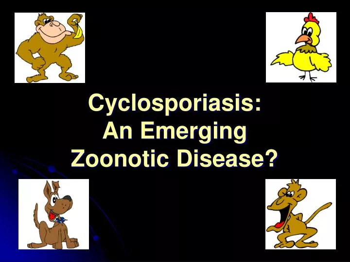 cyclosporiasis an emerging zoonotic disease