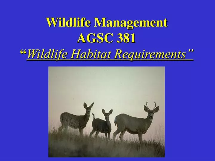 wildlife management agsc 381 wildlife habitat requirements