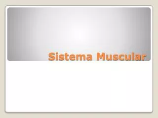sistema muscular