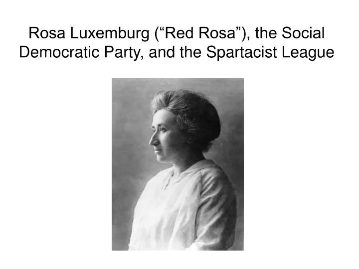 rosa luxemburg red rosa the social democratic party and the spartacist league