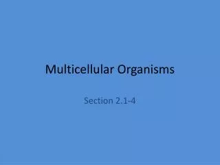 Multicellular Organisms