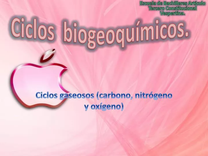 ciclos biogeoqu micos