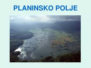 planinsko polje