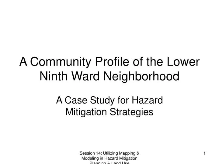 a community profile of the lower ninth ward neighborhood