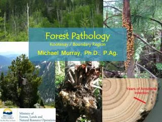 Forest Pathology Kootenay / Boundary Region Michael Murray, Ph.D., P.Ag.