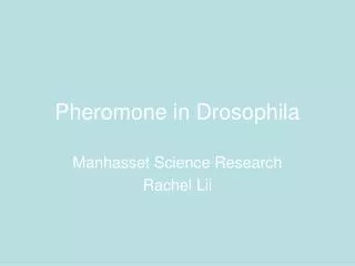 Pheromone in Drosophila