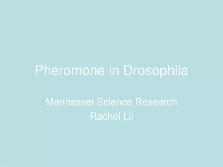 pheromone in drosophila