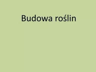 budowa ro lin