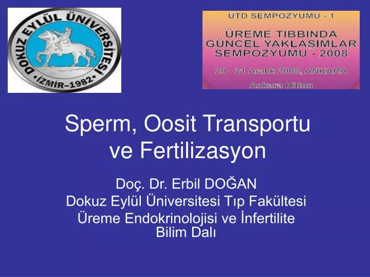 sperm oosit transportu ve fertilizasyon