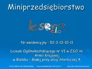 miniprzedsi biorstwo