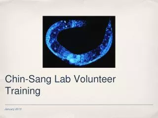 Chin-Sang Lab Volunteer Training