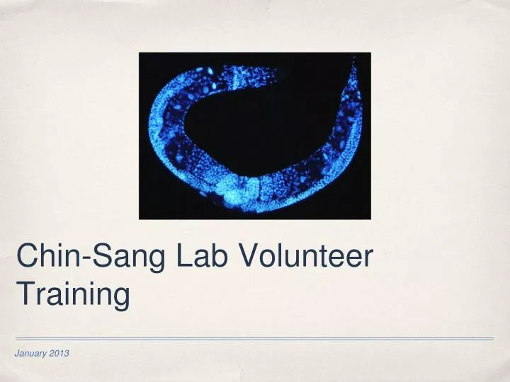 chin sang lab volunteer training