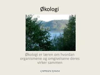 kologi