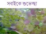 সবাইকে শুভেচ্ছা - slide 1