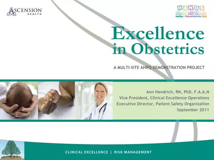 excellence in obstetrics a multi site ahrq demonstration project