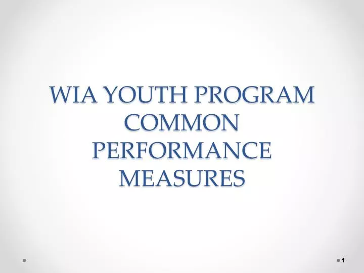 wia youth program common performance measures