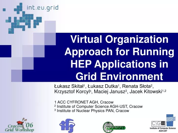 virtual organization approach for running hep applications in grid environment