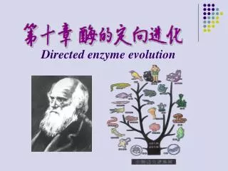 directed enzyme evolution