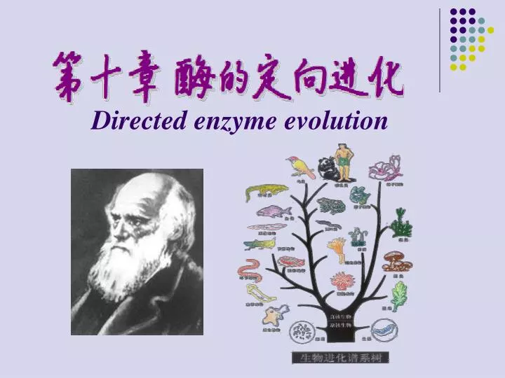 directed enzyme evolution