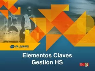 Elementos Claves Gestión HS