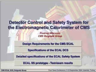 Detector Control and Safety System for the Electromagnetic Calorimeter of CMS
