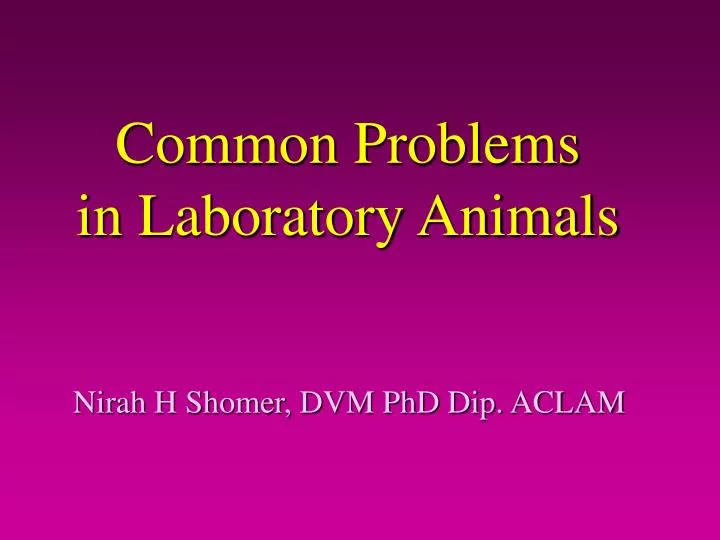 common problems in laboratory animals