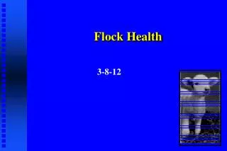 Flock Health