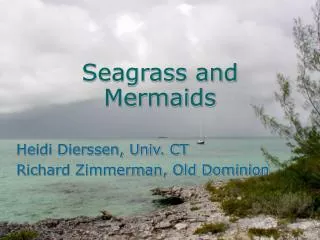 Seagrass and Mermaids