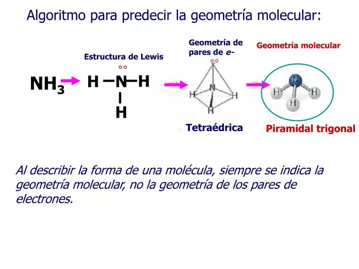 algoritmo para predecir la geometr a molecular